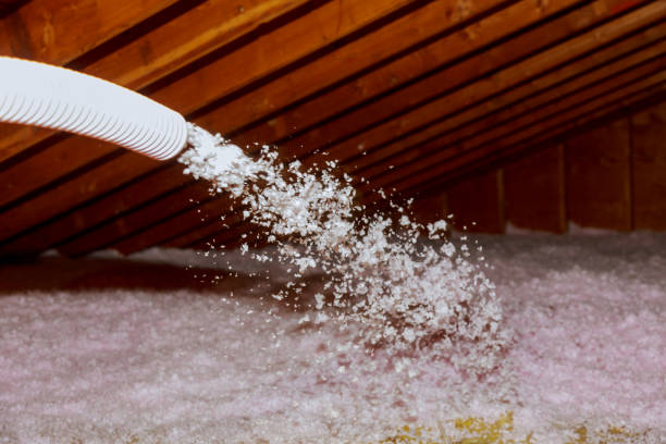 Insulation Inspection Services